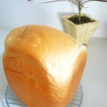 しっとりふわふわのとっても美味しいパンですね♪
早焼きでも美味しいパンが焼けて嬉しいです。
ありがとうございました(^^♪